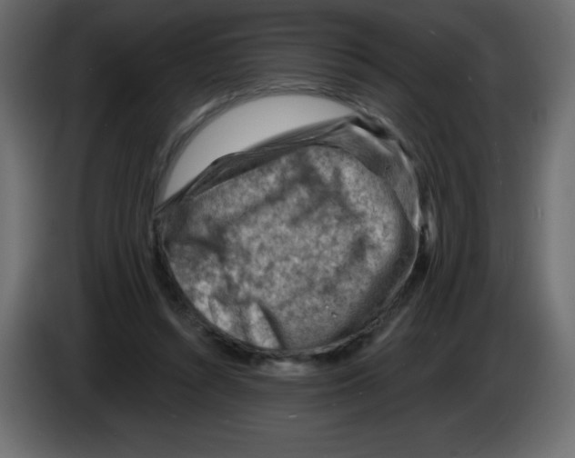 X0000084600352200703231932