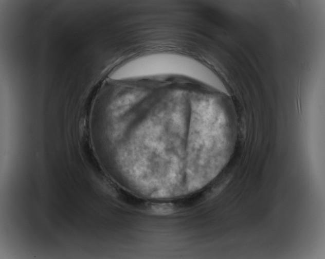 X0000084600355200703231932