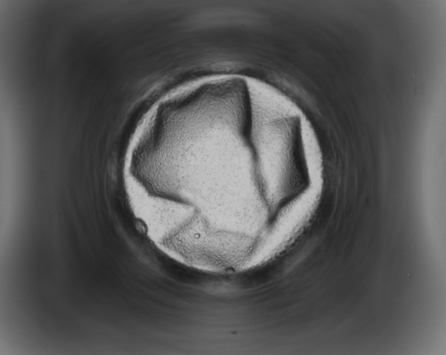 X0000084600358200703231932