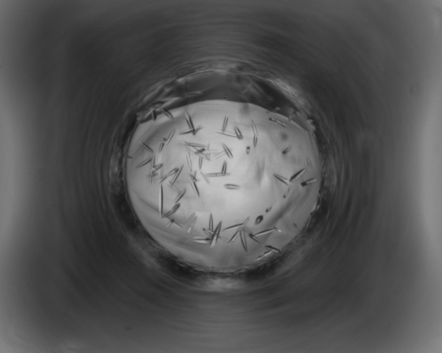 X0000084600360200703231932
