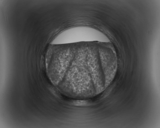 X0000084600361200703231932