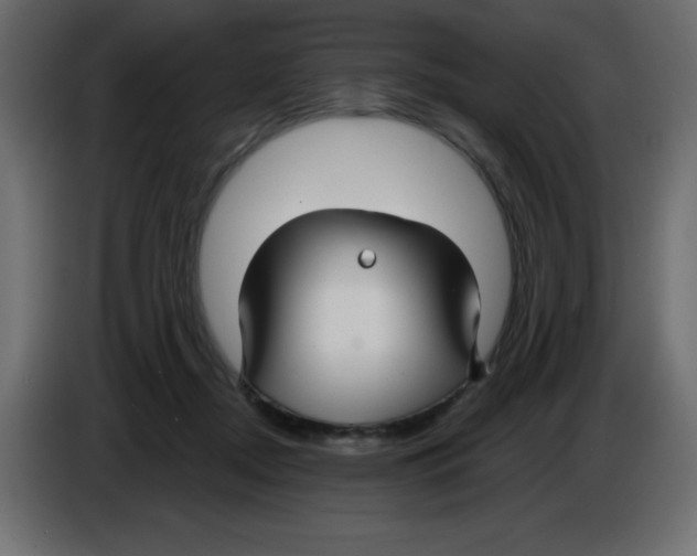 X0000084600362200703231932