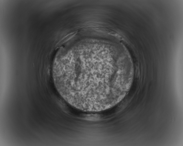 X0000084600363200703231932