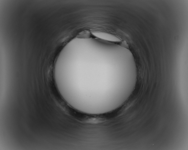 X0000084600364200703231932