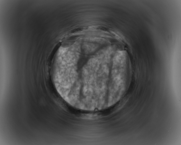 X0000084600366200703231932