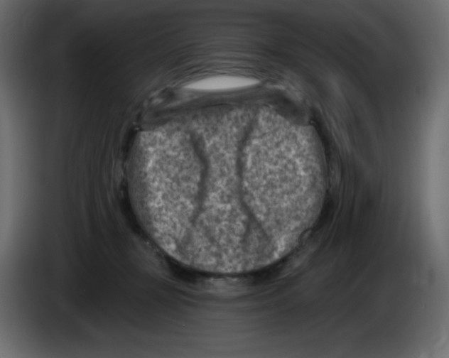 X0000084600367200703231932