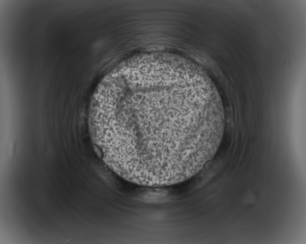 X0000084600369200703231932