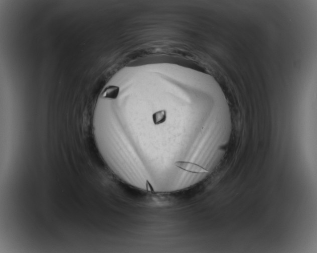 X0000084600372200703231932