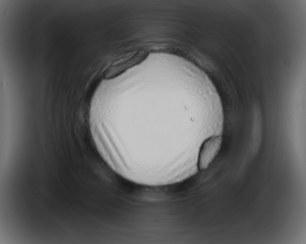 X0000084600373200703231932