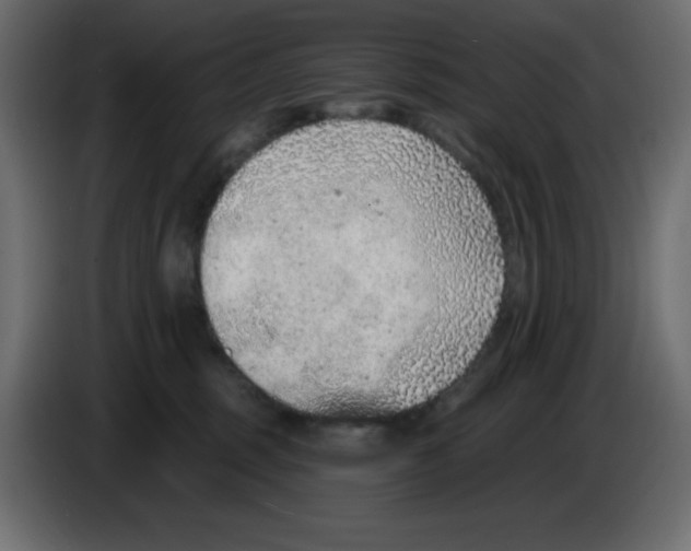 X0000084600375200703231932