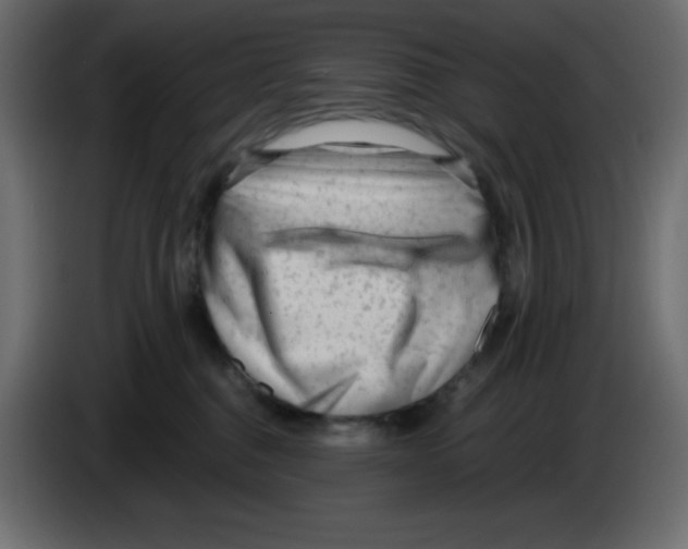 X0000084600376200703231932