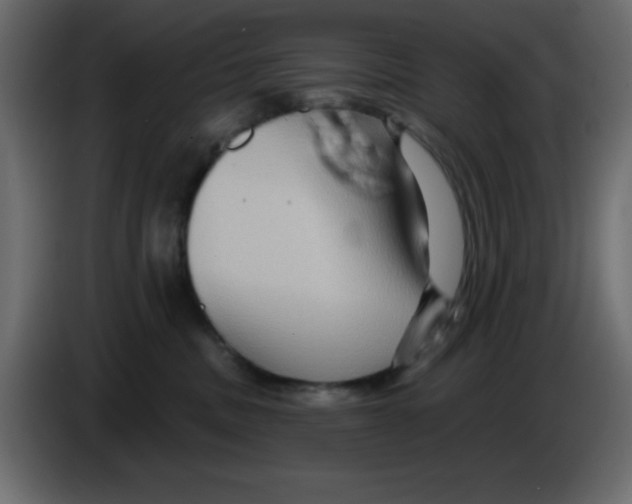 X0000084600379200703231932