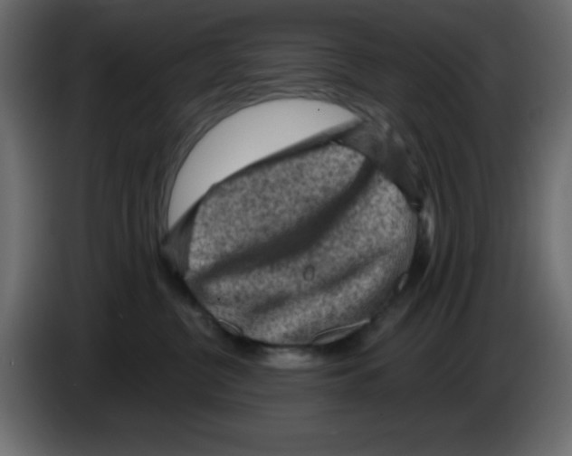 X0000084600380200703231932