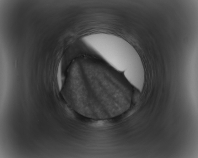 X0000084600382200703231932