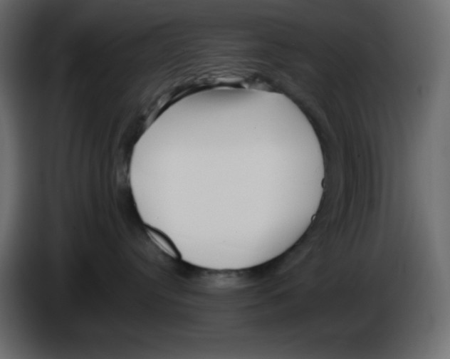 X0000084600384200703231932