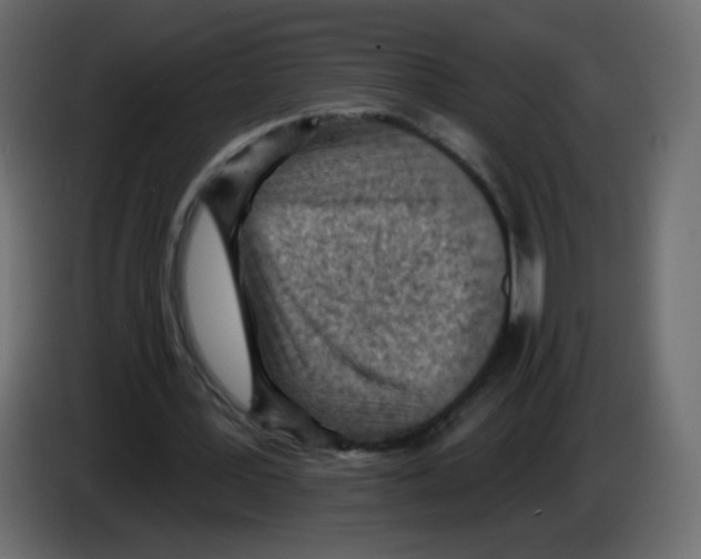 X0000084600387200703231931