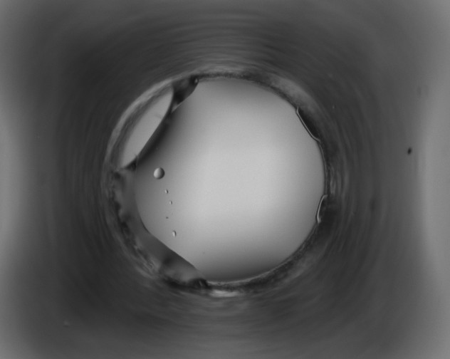 X0000084600388200703231931