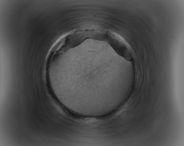 X0000084600391200703231931