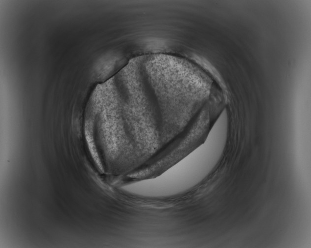 X0000084600393200703231931