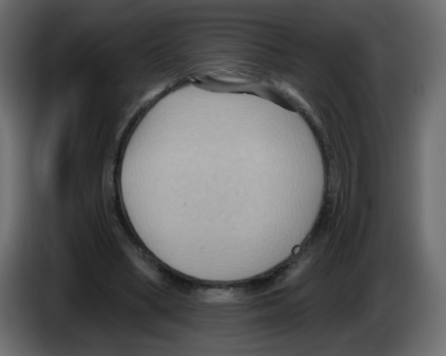 X0000084600394200703231931