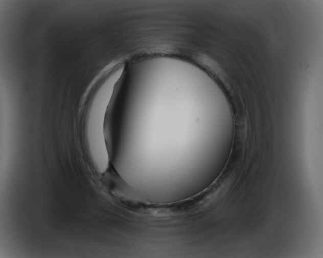 X0000084600395200703231931