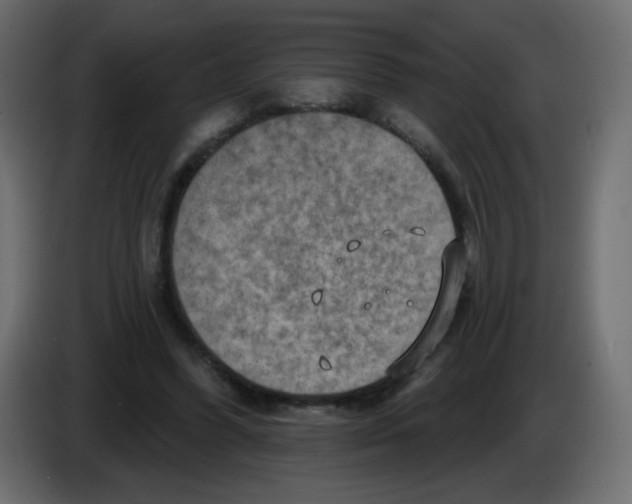 X0000084600396200703231931