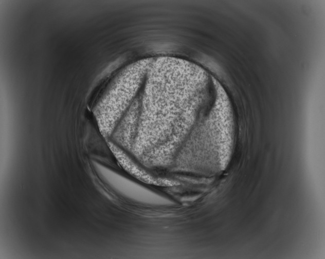 X0000084600397200703231931