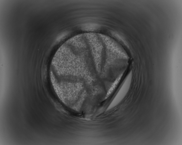 X0000084600400200703231931