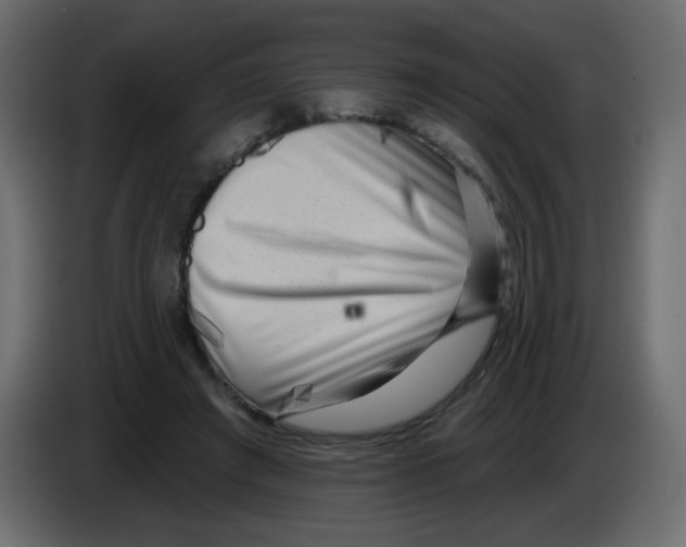 X0000084600401200703231931