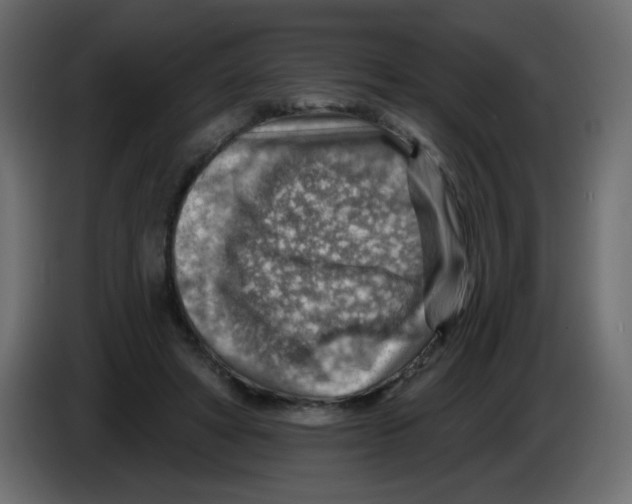 X0000084600402200703231931