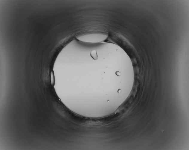 X0000084600403200703231931