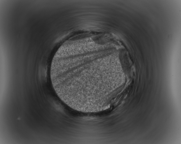 X0000084600404200703231931