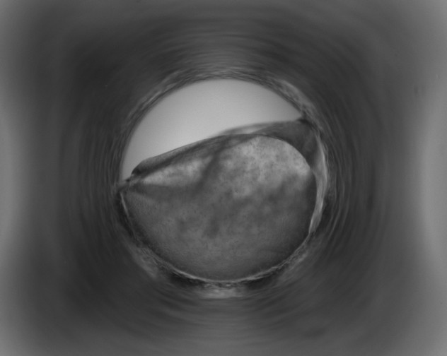 X0000084600405200703231931