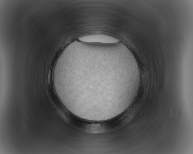 X0000084600406200703231931