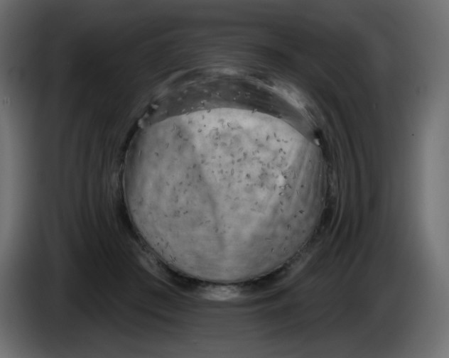 X0000084600409200703231931