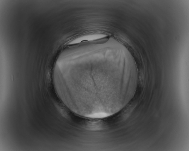 X0000084600410200703231931