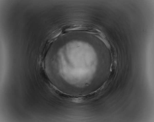 X0000084600411200703231931