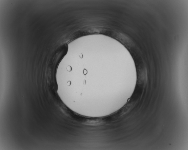 X0000084600414200703231931