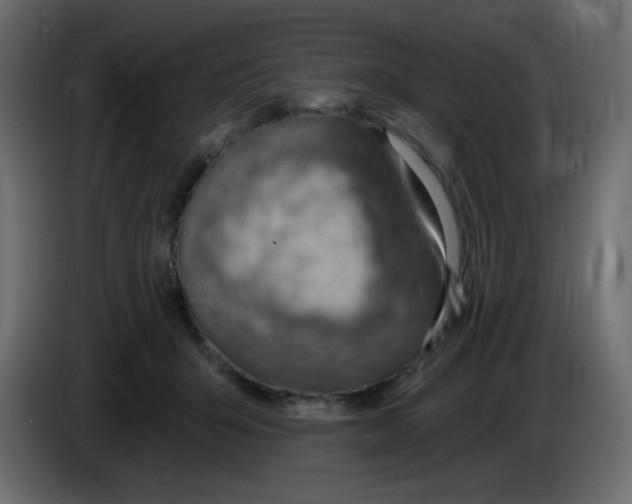 X0000084600415200703231931