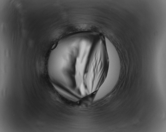 X0000084600416200703231931