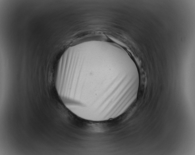 X0000084600417200703231931