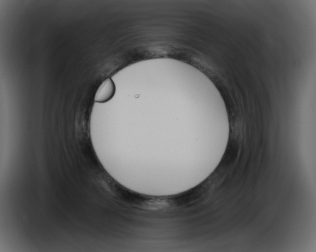 X0000084600418200703231931