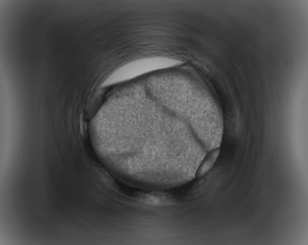 X0000084600420200703231931