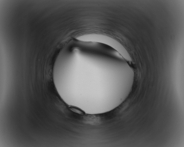 X0000084600421200703231931