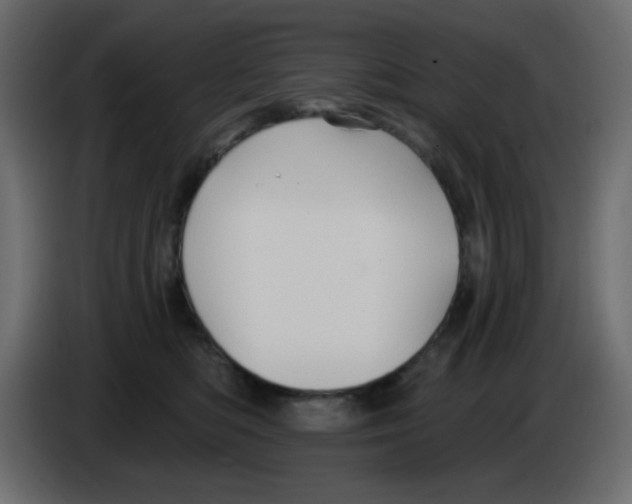 X0000084600422200703231931