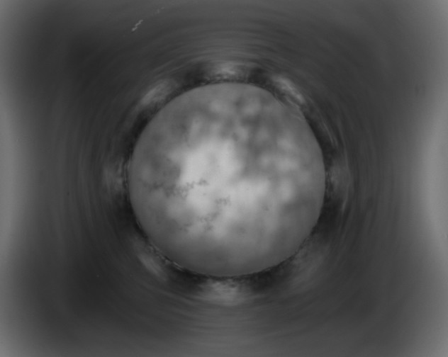 X0000084600423200703231931