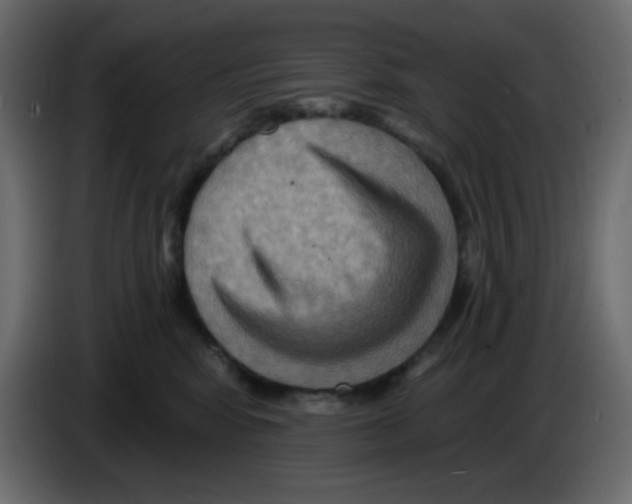 X0000084600424200703231931