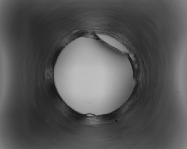 X0000084600425200703231931