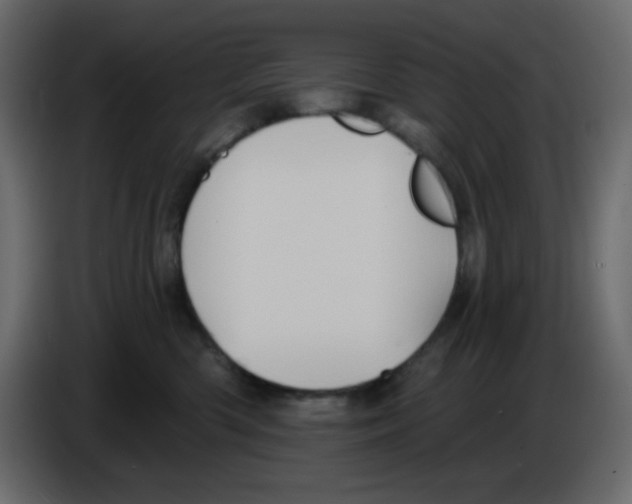 X0000084600426200703231931