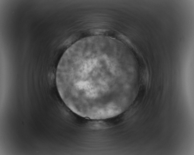 X0000084600427200703231931